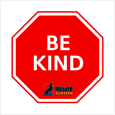 Be Kind Trainingsprogramm
