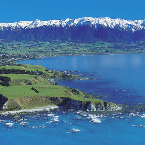 New Zealand Ocean Beef