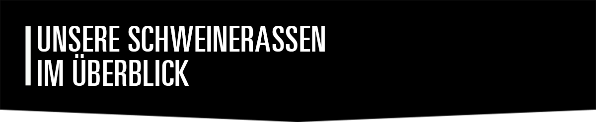 Schweine Teilst�ckkunde