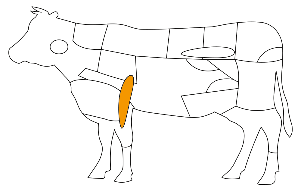Teilst�ck vom Rind: Petit Tender