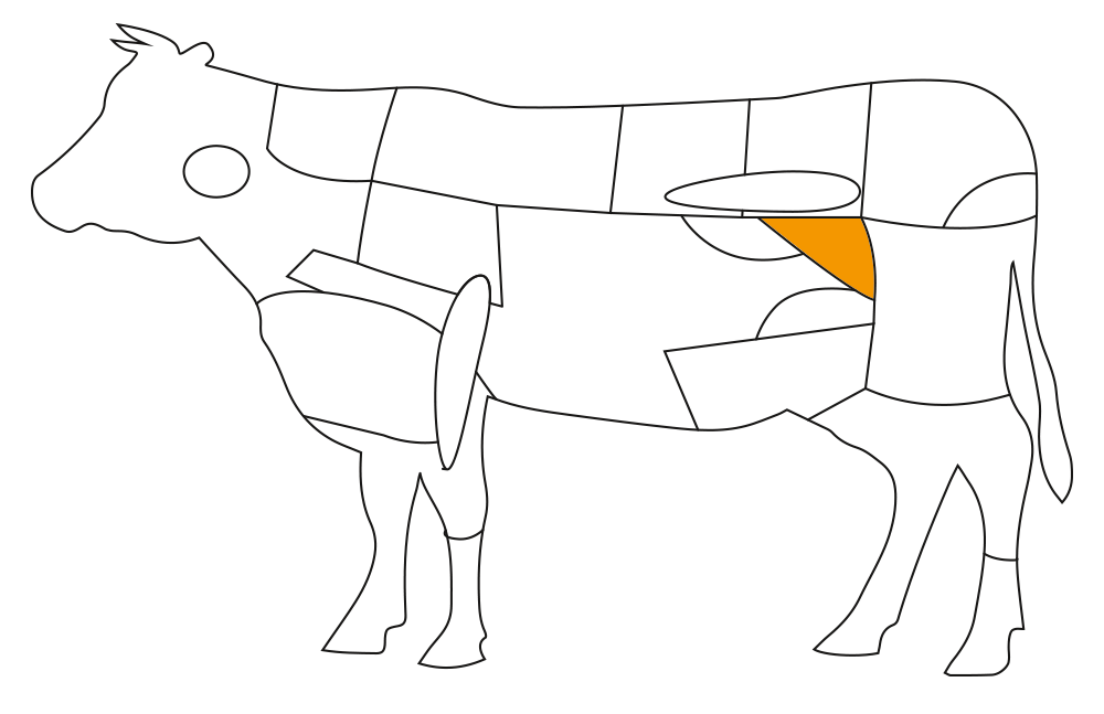 Teilst�ck vom Rind: Tri-Tip