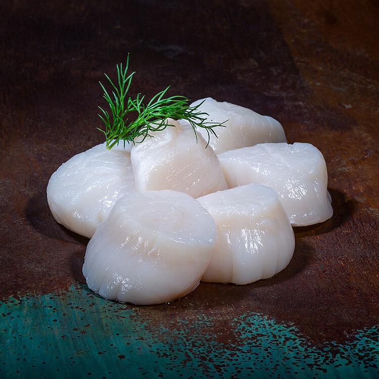 Bild 1 - Tiefseescallops (Jakobsmuscheln) 20/30, ohne Rogen