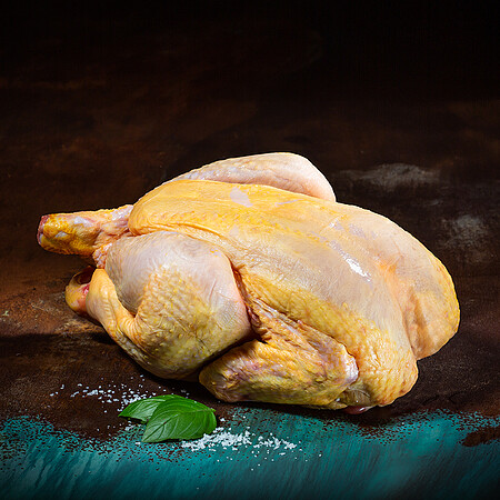 Perlhuhn